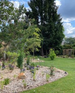 PROJET CHATENAY-MALABRY 2