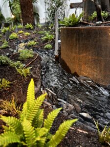 PROJET MONTMARTRE Court d'eau et bordures sur-mesure