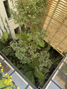 PROJET MONTMARTRE vue haute