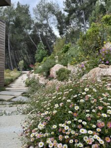 PROJET ROQUEBRUNE-CAP-MARTIN