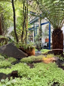 PROJET MONTMARTRE vue basse