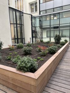 Menuiserie sur-mesure et arrosage automatique au sein d'une entreprise