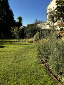 PROJET CHATENAY-MALABRY 2