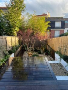 PROJET PUTEAUX Vue basse